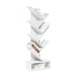 Tiered Storage Shelf for Office and Home Organization