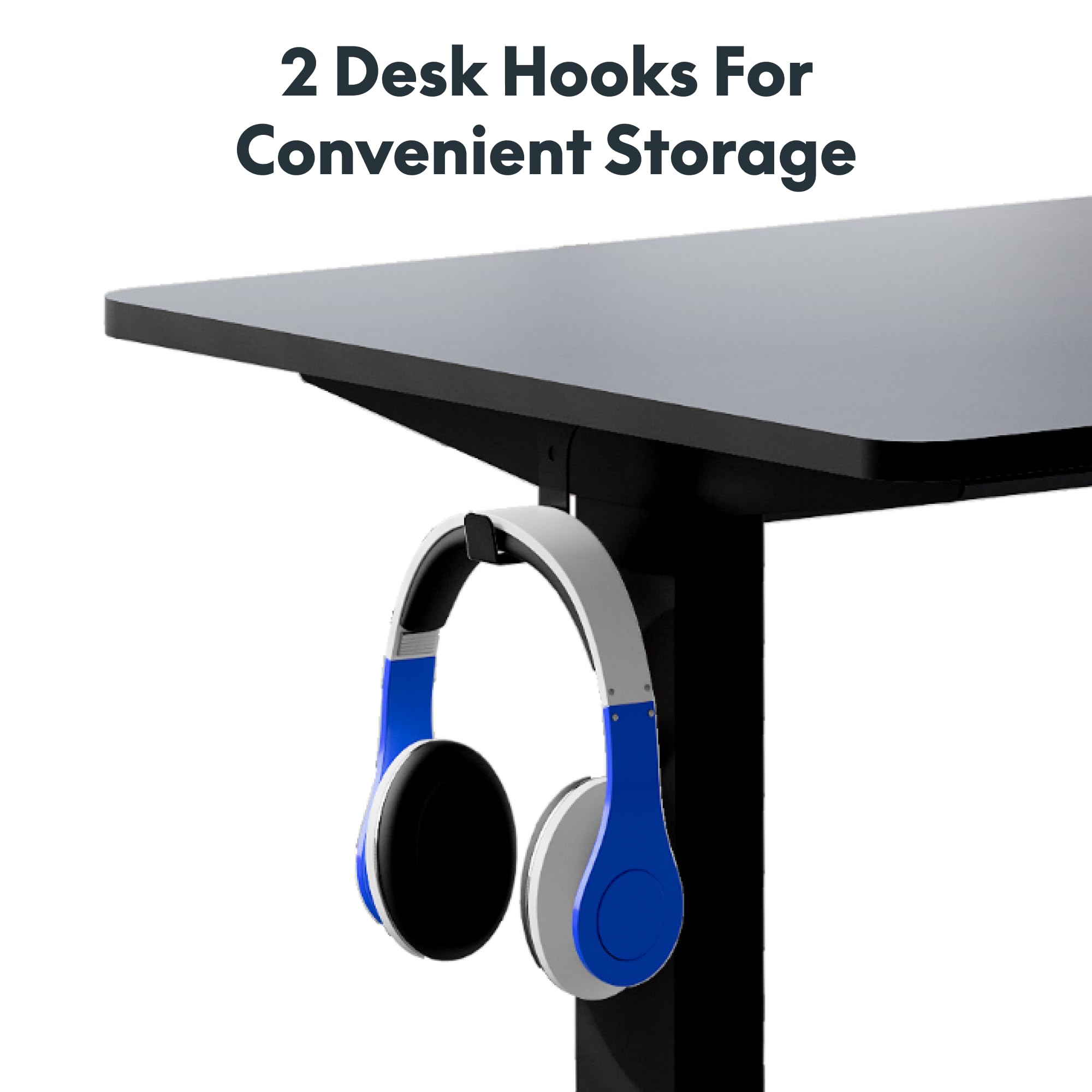 FLEXISPOT 40 to 79 in Electric Standing Desk