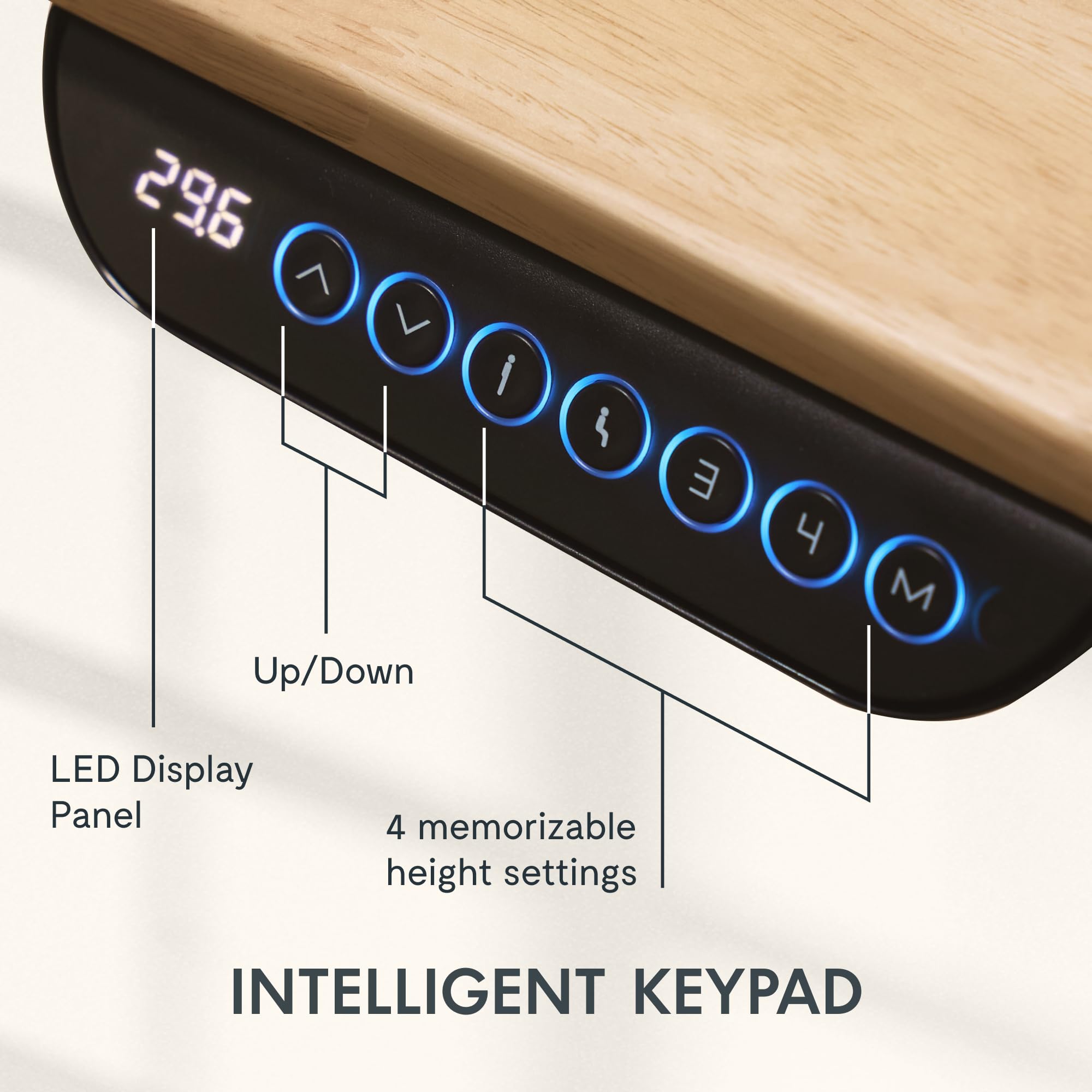 Electric Standing Desk with Dual Motor Height Adjustment