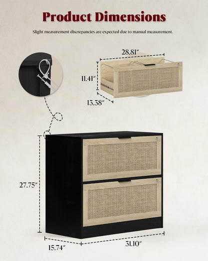 HOPUBUY 2 Drawer File Cabinet with Lock, Printer Stand Lateral