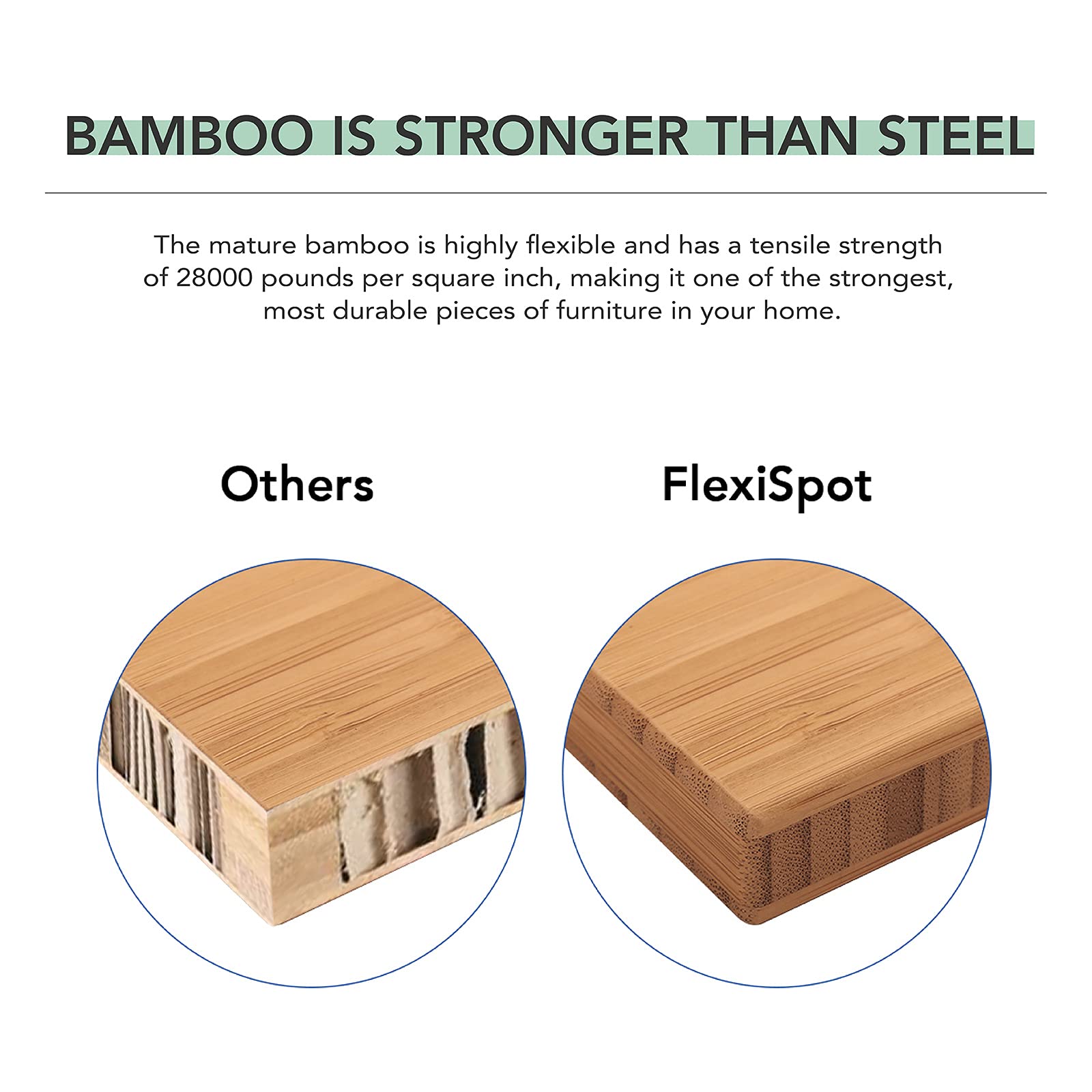 Electric Standing Desk with Dual Motor & Bamboo Top Design