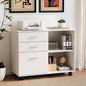 VINGLI Wood File Cabinet for Home Office
