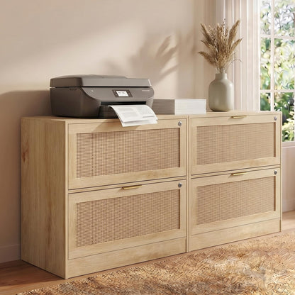 HOPUBUY 2 Drawer File Cabinet with Lock, Printer Stand Lateral