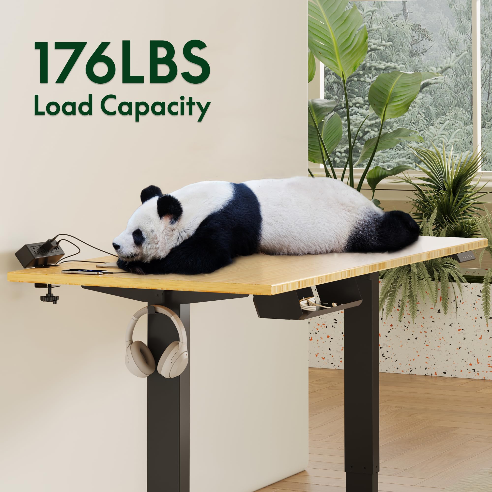 Height Adjustable Standing Desk with Cable Management & Power Hub