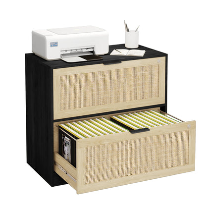 HOPUBUY 2 Drawer File Cabinet with Lock, Printer Stand Lateral