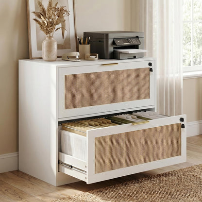 HOPUBUY 2 Drawer File Cabinet with Lock, Printer Stand Lateral