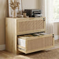 HOPUBUY 2 Drawer File Cabinet with Lock, Printer Stand Lateral