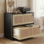 HOPUBUY 2 Drawer File Cabinet with Lock, Printer Stand Lateral